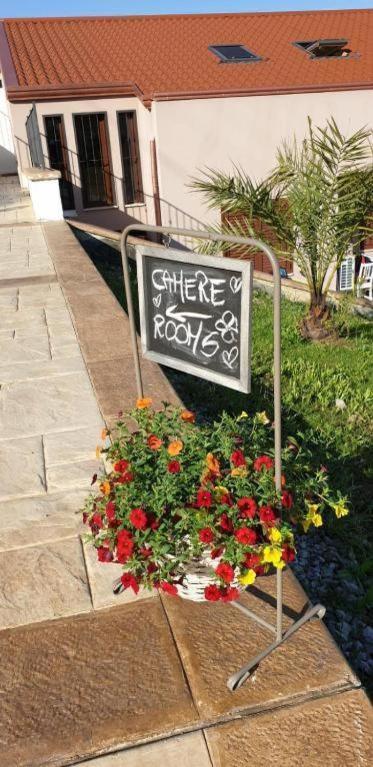 B&B Stella Del Cilento Di Anna Botti อากรอโปลี ภายนอก รูปภาพ