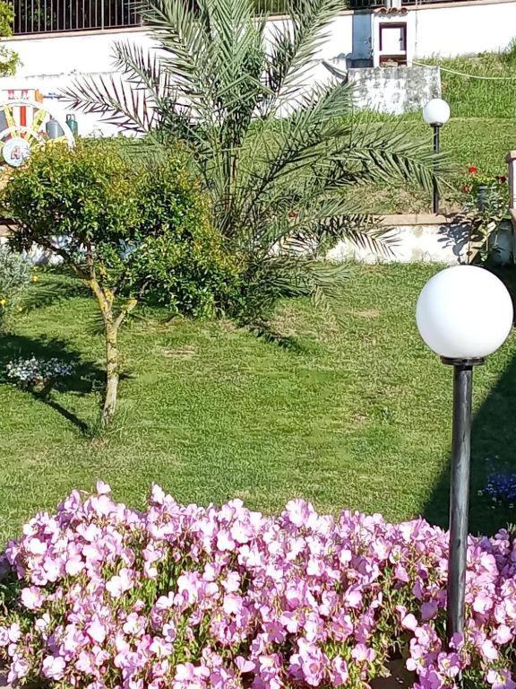 B&B Stella Del Cilento Di Anna Botti อากรอโปลี ภายนอก รูปภาพ